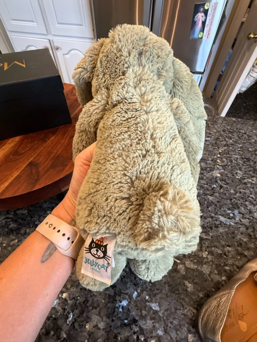 Medium Bashful Fern Bunny Jellycat - Retired & Authentic Design - Picture 6 of 11
